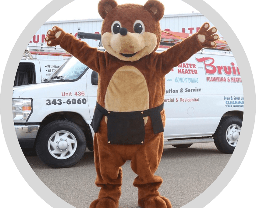 the bear that cares bear with van